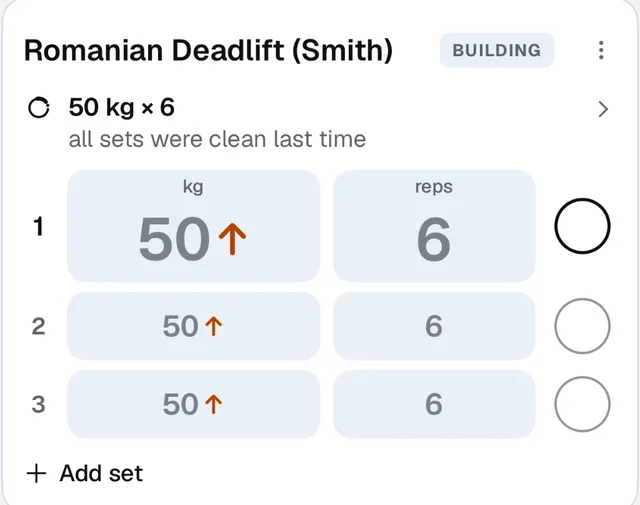 Romanian Deadlift with the hint 50 kg × 6, its reason, and a row for each set.